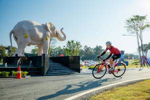 BIB: 
                            <button type="button" onclick="openModal(26182994)" class="btn btn-primary btn-sm float-right btn-popup" data-toggle="modal" data-target=".modal-high-quality">
                        <i class="fas fa-shopping-cart"></i> Add to Cart
                    </button>
                                            <button type="button" onclick="isThisMe(26182994, true)" class="btn btn-success btn-sm float-right btn-popup btn-isme hidden" data-toggle="tooltip" data-placement="bottom" title="นี่คือรูปของคุณใช่ไหม คลิกที่นี่เพื่อเอาเข้าอัลบั้ม">
                        <i class="fas fa-plus"></i> Add to album
                    </button>
                    <button type="button" onclick="isThisMe(26182994, false)" class="btn btn-warning btn-sm float-right btn-popup btn-isnotme hidden">
                        <i class="fas fa-ban"></i> Remove from album
                    </button>